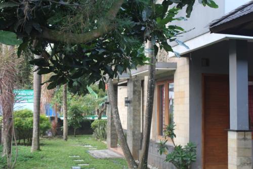 a house with trees in front of a yard at Rabbani Family Homestay in Yogyakarta