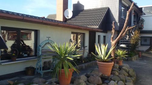 a house with potted plants in front of it at Ferienwohnung in Dierkow