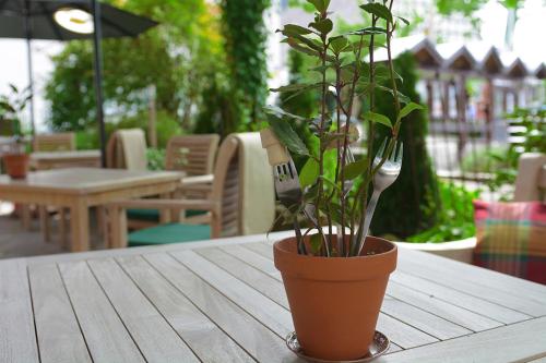 a plant in a pot sitting on a table at Hotel-Restaurant Schettel in Olsberg