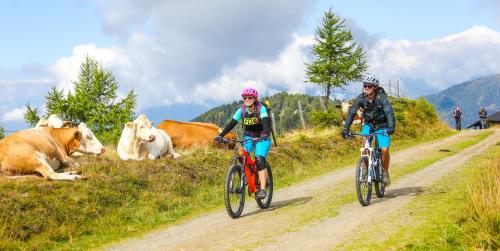 two people riding bikes on a dirt road with cows at Ferienwohnung Brennseeblick in Feld am See