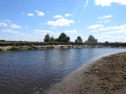 a body of water with a sandy beach and trees at Gospodarstwo Kaczynski Ostrołęka in Wyszel