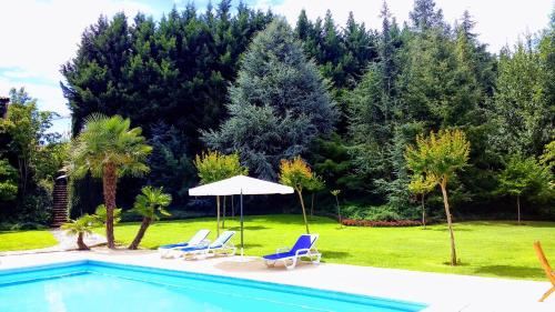 a swimming pool with two chairs and an umbrella at Casa Do Prado Guesthouse in Vila Real