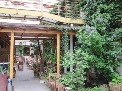 Zahrada ubytování Hotel Amphone
