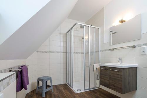 a bathroom with a shower and a sink at Komfortferienwohnungen Spreewalder Auszeit in Burg