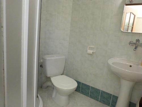 a bathroom with a toilet and a sink at Villa Hawaii in Rapotín