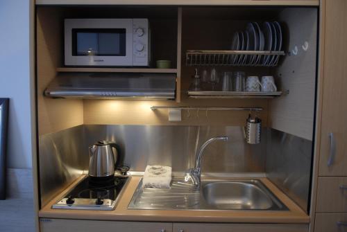 Η κουζίνα ή μικρή κουζίνα στο Lion Apartment Port