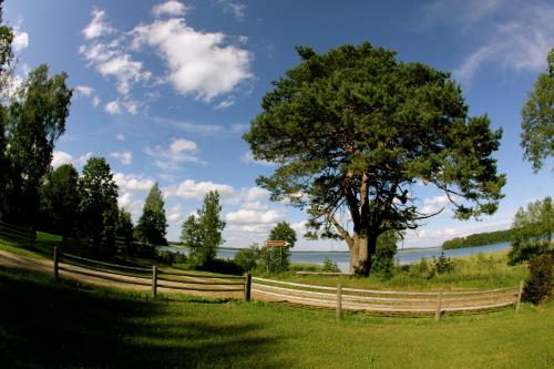 a wooden fence and a tree in a field at Jaunsētas in Alūksne