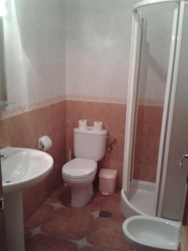 a bathroom with a toilet and a sink and a shower at El Balcón de la Mancha in Tembleque