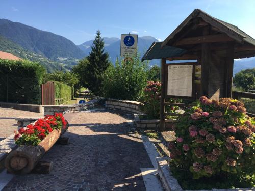 ボルゴにあるCasa vacanze Borgoの花の庭園