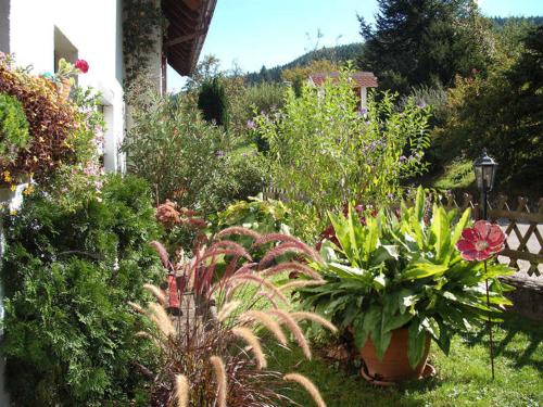 Taman di luar Gästehaus Waldblick