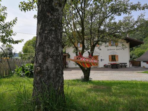 a kite hanging from a tree in a yard at Feldererhof in Siusi