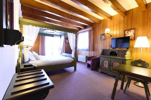um quarto com uma cama e uma televisão num quarto em Hotel et Spa du Scharrach em Scharrachbergheim Irmstett