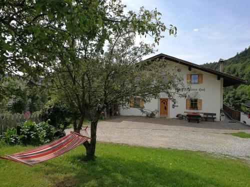 a house with a tree and a hammock in the yard at Feldererhof in Siusi