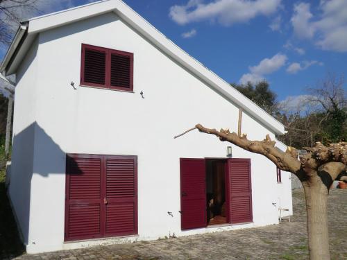 a white house with red shutters and a tree at VianasHome in Amarante