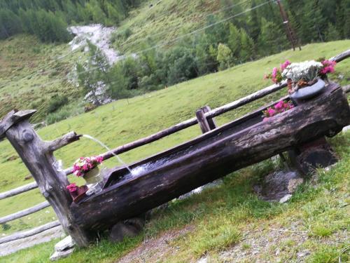 a wooden bench with flowers on top of a hill at Bauernhof Unterbichl in Flachau