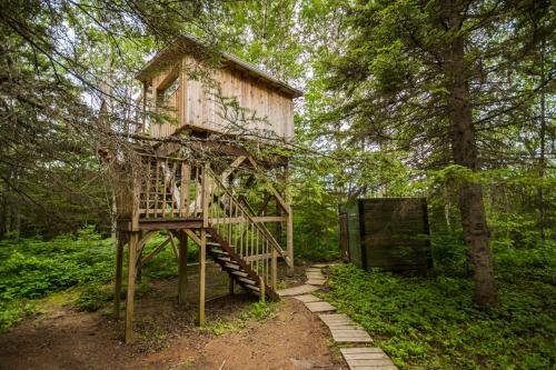 a tree house in the middle of a forest at Canopée Lit in Sacré-Coeur-Saguenay