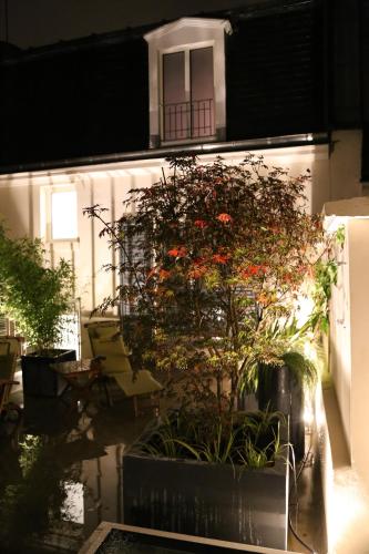 Le clos de l'olivier photo 25