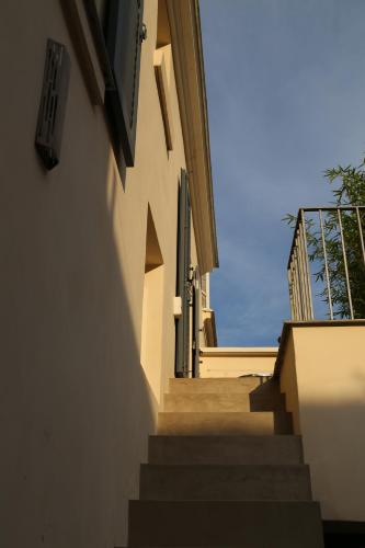 Le clos de l'olivier photo 29