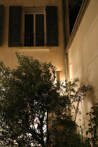Le clos de l'olivier photo 28