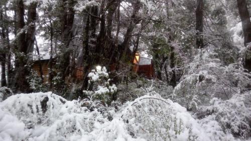 a snow covered forest with a house in the background at Domos Entre Bosques in Malalcahuello