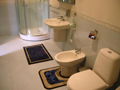 a bathroom with a shower and a toilet and a sink at Zolotoie Runo in Skhidnitsa