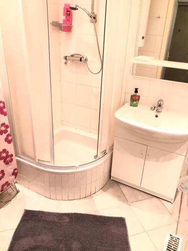 a bathroom with a shower and a sink at Apartment4you in Graz