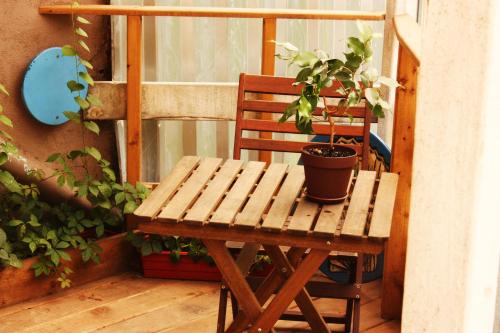 ウラジオストクにあるネプチュネアの木製テーブルと椅子(鉢植えの植物付)