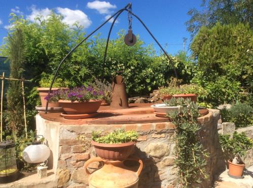 Podere Girasoli – Photos 2