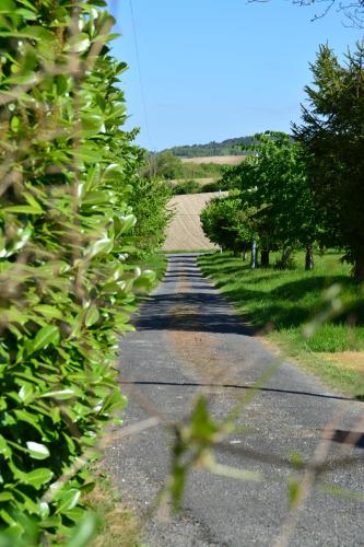 Landhuis Cotinet – Photos 3