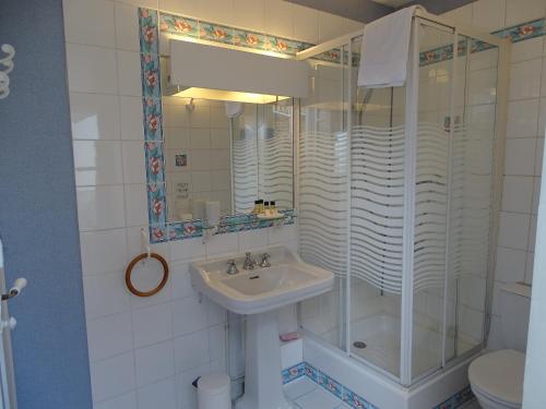 a bathroom with a sink and a shower at La Maison Blanche in Cuvergnon