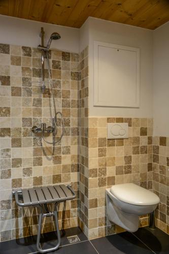 a bathroom with a toilet and a shower at Chalet des Neiges : La Cime Des Arcs in Arc 2000