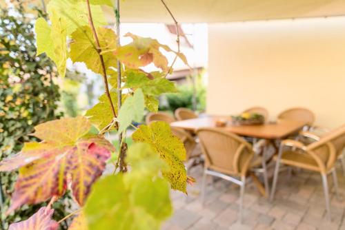a room with a table and chairs and a plant at Domizil Nunn in Escherndorf