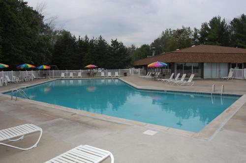 a large blue swimming pool with chairs and umbrellas at St. Clair Camping Resort in Marysville