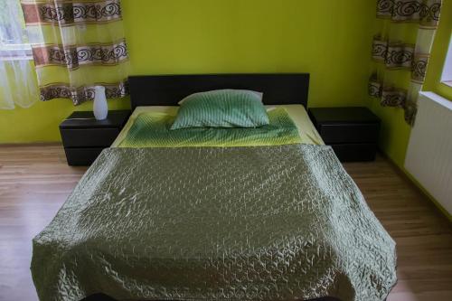 a bedroom with a bed with a green wall at Gospodarstwo u Krakusa in Doboszowice