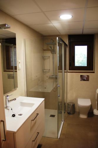 a bathroom with a sink and a shower and a toilet at Casa sierra ferrera in Samper