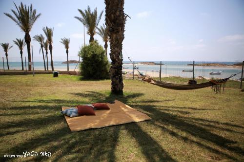 a hammock in a field next to a tree at Dor village in Dor