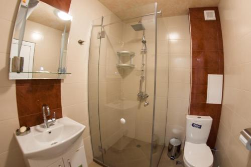ヒサリャにあるNasred gradaのバスルーム(シャワー、トイレ、シンク付)