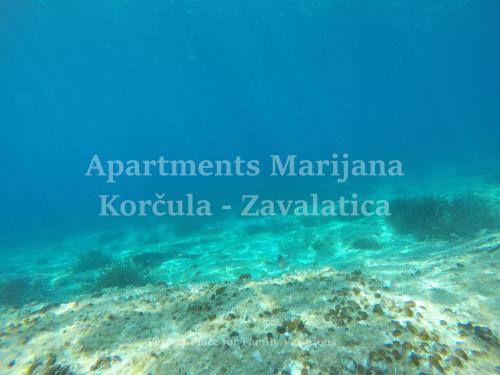 Φυσικό τοπίο κοντά σε αυτό το διαμέρισμα