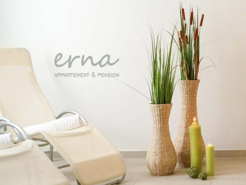 three vases sitting on a table with plants in them at Pension Apartment Erna in Resia