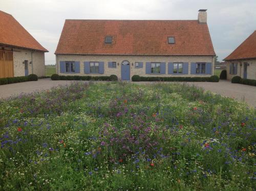ディクスムイデにあるDe Goudmijnの家の前の花畑