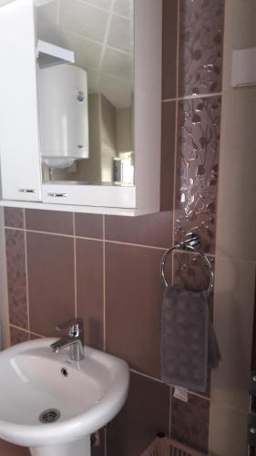 a bathroom with a sink and a mirror at Apartmani V&F in Vrnjačka Banja