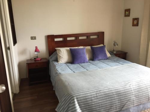 1 dormitorio con 1 cama grande con almohadas moradas en Departamento Viana, en Viña del Mar