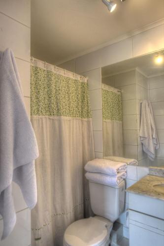 a bathroom with a toilet and a shower curtain at Pucón in Pucón