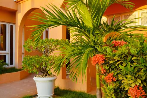 two palm trees and plants in front of a building at Hotel Terra do Sol in Aracaju
