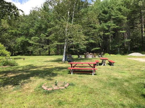 two picnic tables in a park with a fire pit at Snowdon Chalet Motel in Londonderry