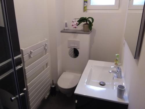 a small bathroom with a toilet and a sink at L'Orchidée in Lassay