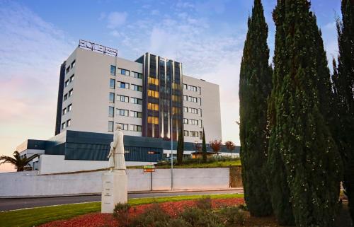 a building with a statue in front of it at Santarem Hotel in Santarém