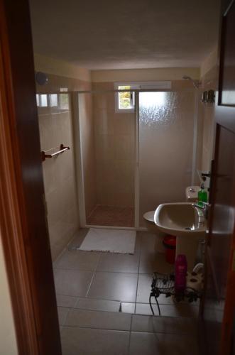 a bathroom with a shower and a sink at Casa Camilo in Vallehermoso