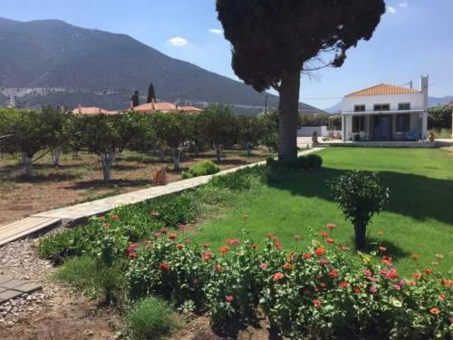 Γενική θέα στο βουνό ή θέα στο βουνό από  αυτή η παραθεριστική κατοικία
