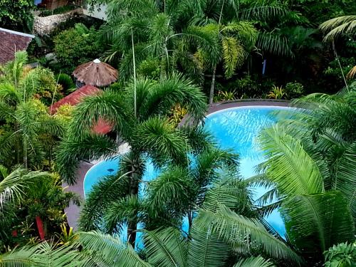 una vista aérea de una piscina con palmeras en Hof Gorei Beach Resort Davao, en Samal